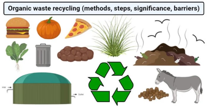7 contoh recycle sampah organik dan anorganik