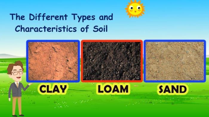 Karakteristik tanah