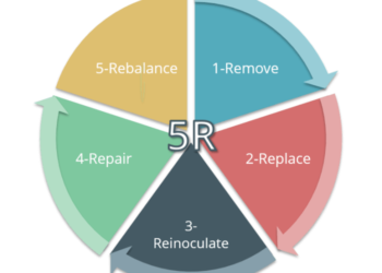 Prosedur cara membuat Program Manajemen 5R pada k3