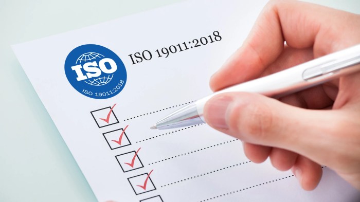 Menghasilkan temuan audit Menurut SI ISO 19011:2018