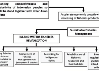 Langkah langkah dalam mengurus imb dan