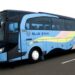 Denah kursi bus blue star terbaru