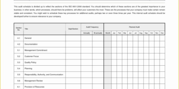Formulir Program Audit Internal