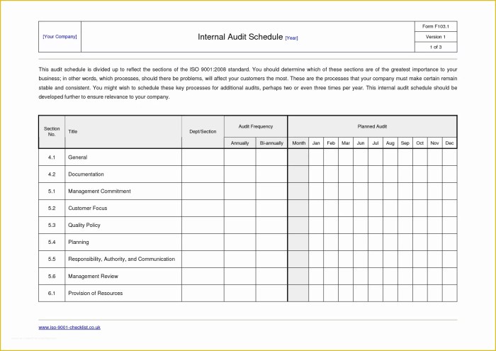 Formulir Program Audit Internal