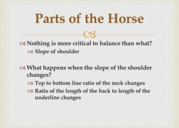 Menghitung volume kuda kuda