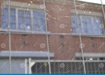 Sistem konstruksi fondasi sarang laba