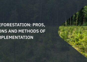 Metode Pelaksanaan Reboisasi