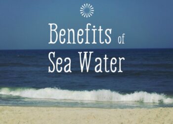 8 Manfaat Laut bagi Kehidupan