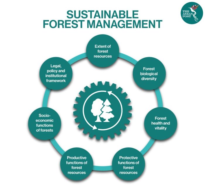 √ Pengelolaan Hutan Produksi Lestari: Definisi, Sertifikasi, Jaminan ...