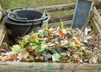 Cara Pengolahan Limbah Organik Basah