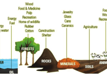 Sumber Daya Alam: Jenis, Manfaat, dan Contoh SDA