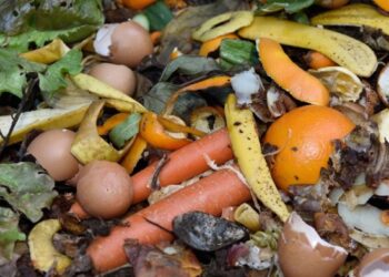 Inilah 2 Jenis Contoh Limbah Organik dan Ciri-Cirinya