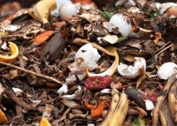 Mengenal Sampah Anorganik Beserta Jenis, Contoh