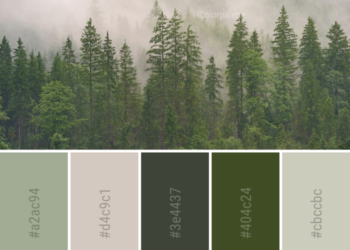 Standar Warna Peta pada Kawasan Hutan