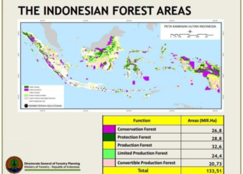 Peta Kawasan Hutan Indonesia Visualisasi Lengkap