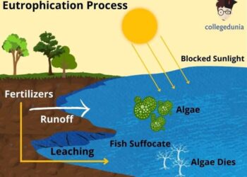 Eutrofikasi: Pengertian, Penyebab, cara mengatasi