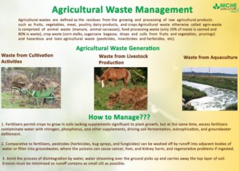 Limbah Pertanian: Pengertian, Jenis, Contoh