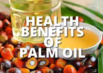 9 Manfaat Kelapa Sawit Bagi Kesehatan