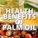 9 Manfaat Kelapa Sawit Bagi Kesehatan