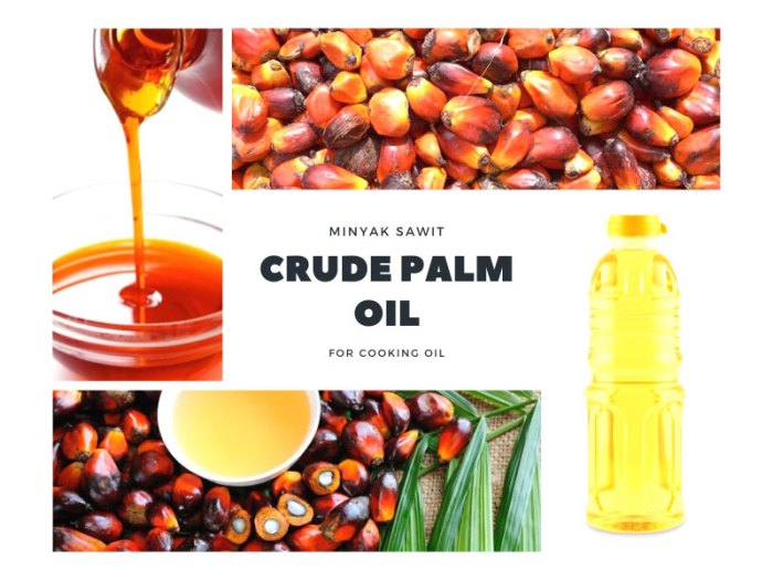 CPO (Crude Palm Oil): Pengertian, Contoh, dan Jenisnya