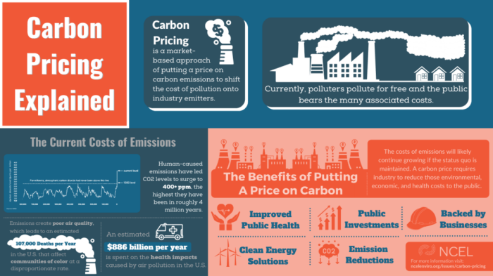 Apa Itu Nilai Ekonomi Karbon (NEK) / Carbon Pricing