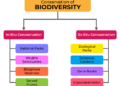 Konservasi In Situ dan Ex Situ: Arti, Contoh dan Perbedaan