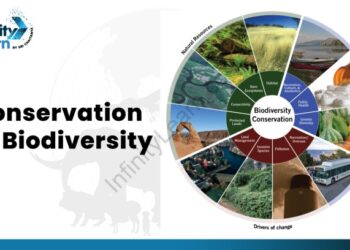 Hutan Konservasi - Pengertian, Manfaat, dan Contohnya