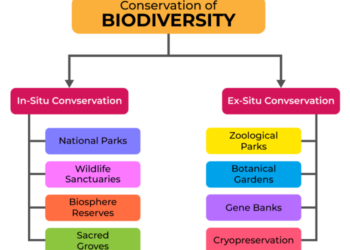 Konservasi In Situ dan Ex Situ: Arti, Contoh dan Perbedaan