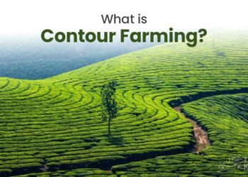 Sistem Terasering: Pengertian, Tujuan dan Manfaat