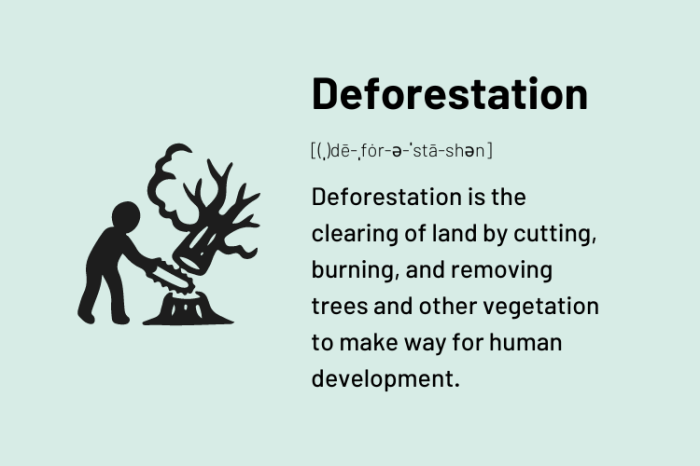 Deforestasi: Pengertian, Penyebab, Dampak dan ...