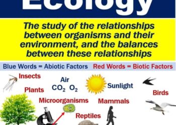 Ekologi: Pengertian, Ruang Lingkup, Contoh dan Manfaat