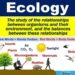 Ekologi: Pengertian, Ruang Lingkup, Contoh dan Manfaat