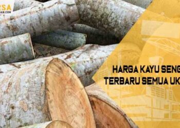 Harga kayu sengon per kubik update 8 september 2024