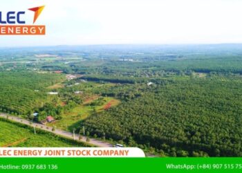 Hutan Produksi: Pengertian Menurut Ahli, Ciri- ...