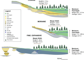 Lahan Gambut: Pengertian, Fungsi, Jenis, dan Ciri