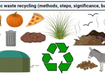 Pengertian Limbah Organik serta Jenis dan Cara pengolahan