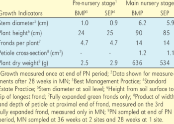 Urutan Pemupukan Kelapa Sawit agar Cepat Berbuah