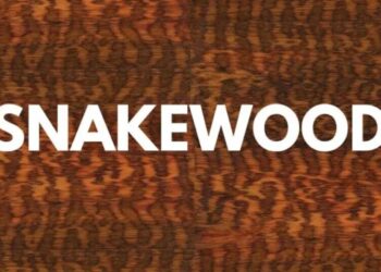 Mengenal Kayu Ular dan manfaatnya