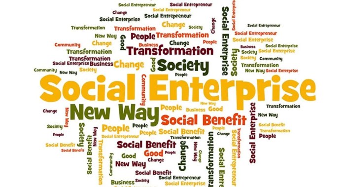 Social Enterprise Adalah