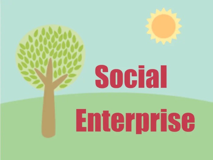 Social Enterprise Adalah