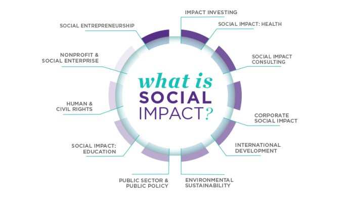 Contoh Penerapan Metode social impact assessment training