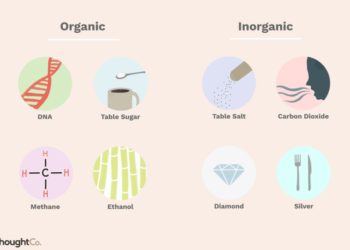 7 Perbedaan Limbah Organik dan Anorganik