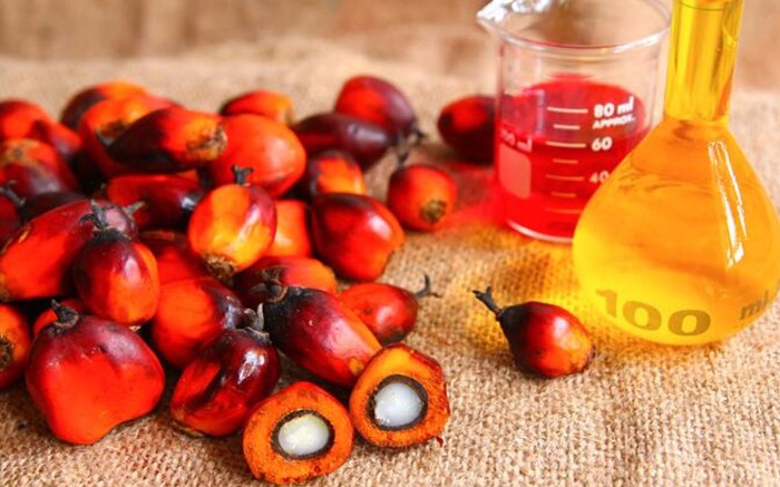 CPO (Crude Palm Oil): Pengertian, Contoh, dan Jenisnya