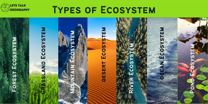 Ekosistem Hutan: Pengertian, Jenis, Ciri, Komponen