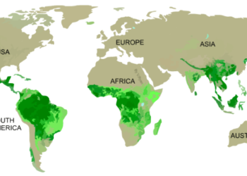 Sebaran Hutan Hujan Tropis di Indonesia