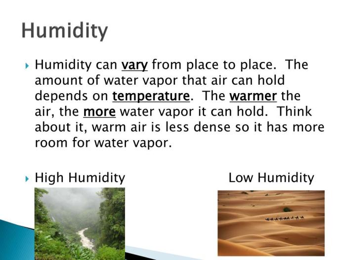 Penjelasan lengkap apa itu humidity (kelembapan)