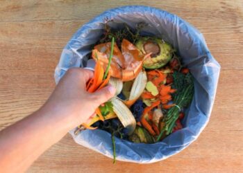 7 Contoh Limbah Lunak Organik dan Cara Mengolahnya