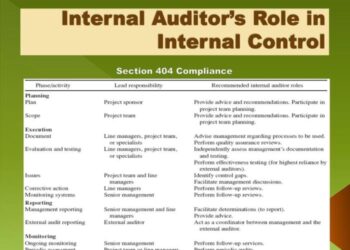 Auditor Internal: Ini Tugas dan Tanggung Jawabnya