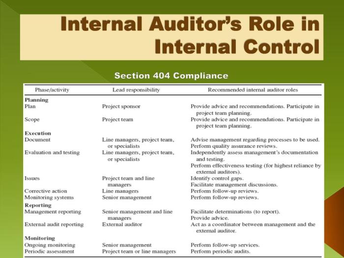 Auditor Internal: Ini Tugas dan Tanggung Jawabnya