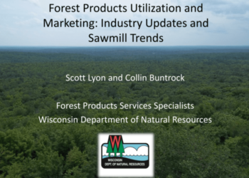 5 Hal Penting Pemanfaatan dan Pengelolaan Hasil Hutan